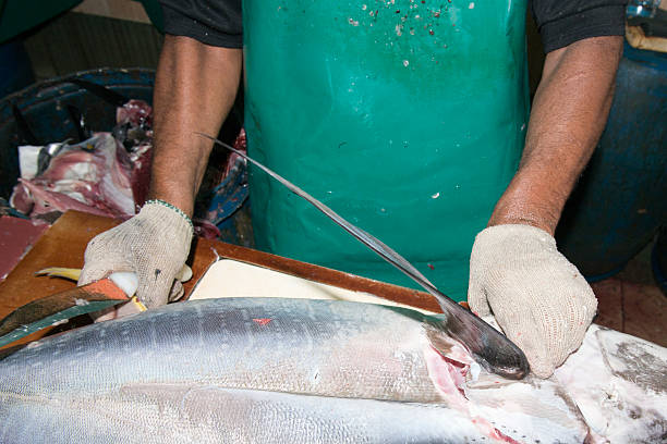 istock Male india fish market 469648776