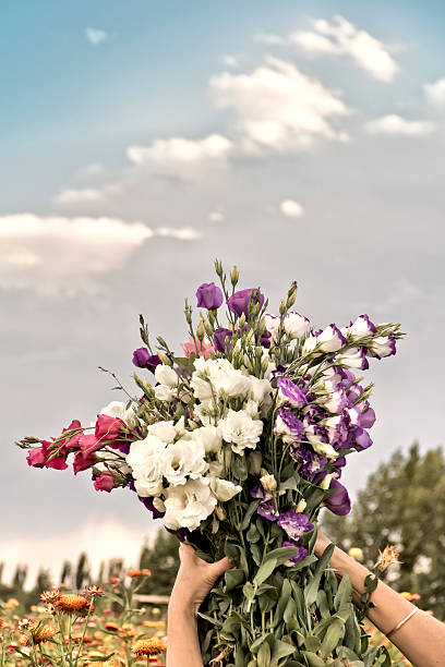 istock Bouquet of flowers 469654616