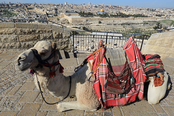 istock Mount of Olives, Jerusalem 469658129