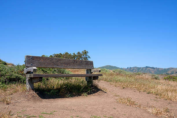 istock Concept of a place to sit and dream 469658493