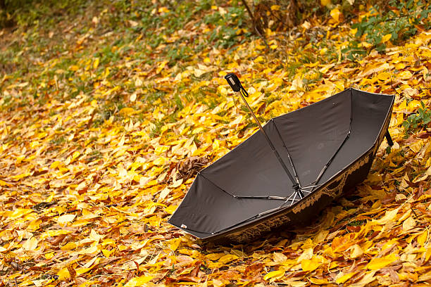 istock umbrella on autumn leaves 469660442