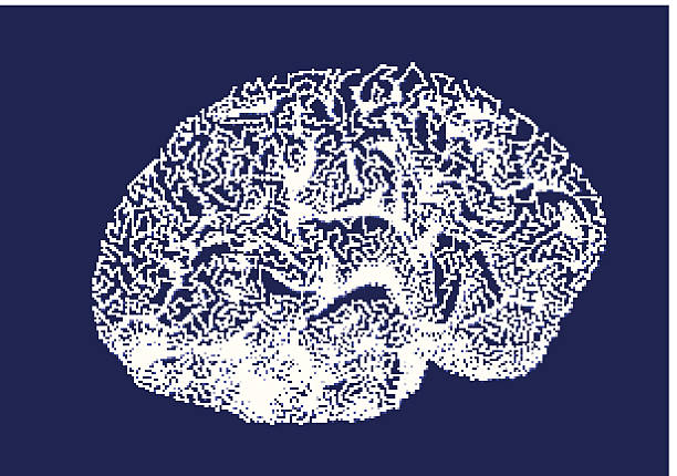 뇌 임펄스. 사고 처분. - brain x ray image nerve cell intelligence stock illustrations