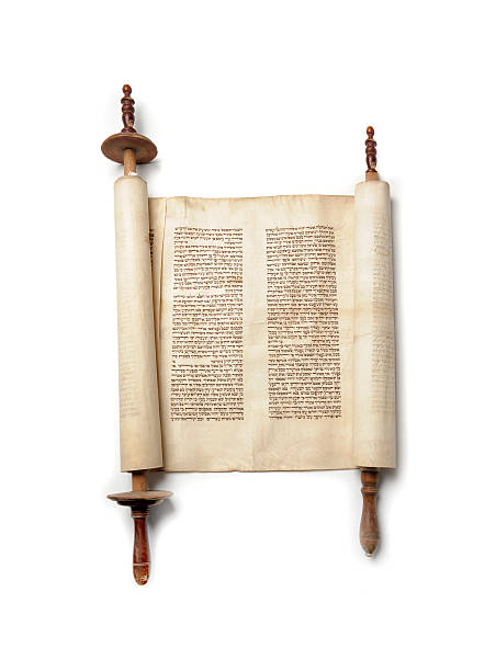 A torah open on a white background Roll of antique jewish authentic Torah rabbi photos stock pictures, royalty-free photos & images