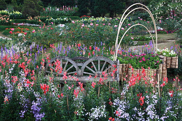 istock flower garden background 469665805