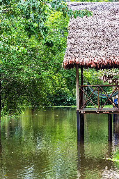 istock Balcony in the Jungle 469667590