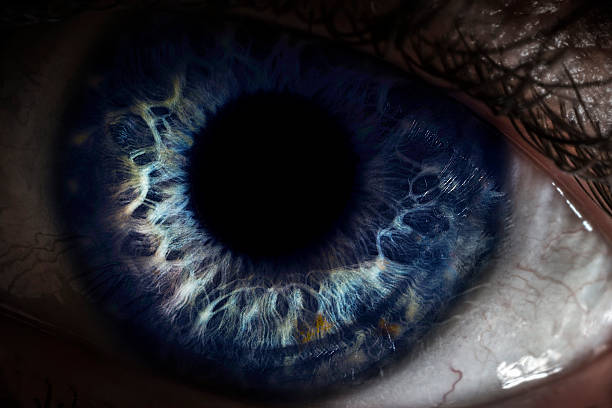 istock detailed close-up of eye 469667733