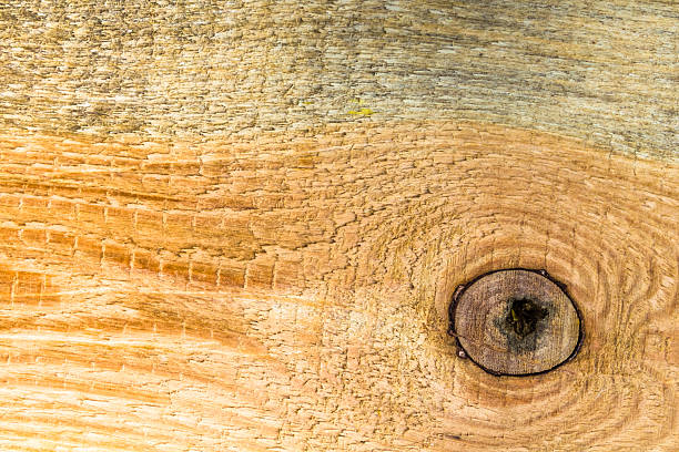 istock Texture pine wood plank high detailed 469668111