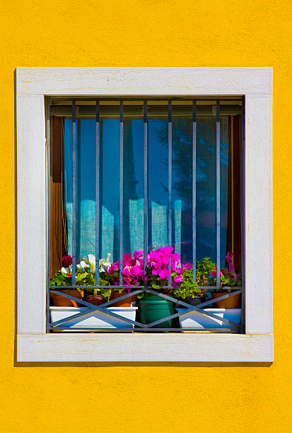istock Window with colorful flowers, Italy 469671250