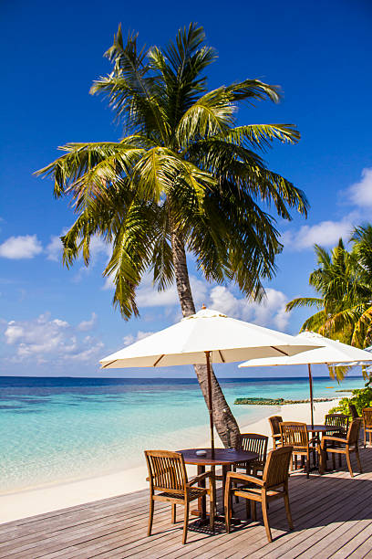 istock Cafe on a tropical beach in the Maldives 469672768