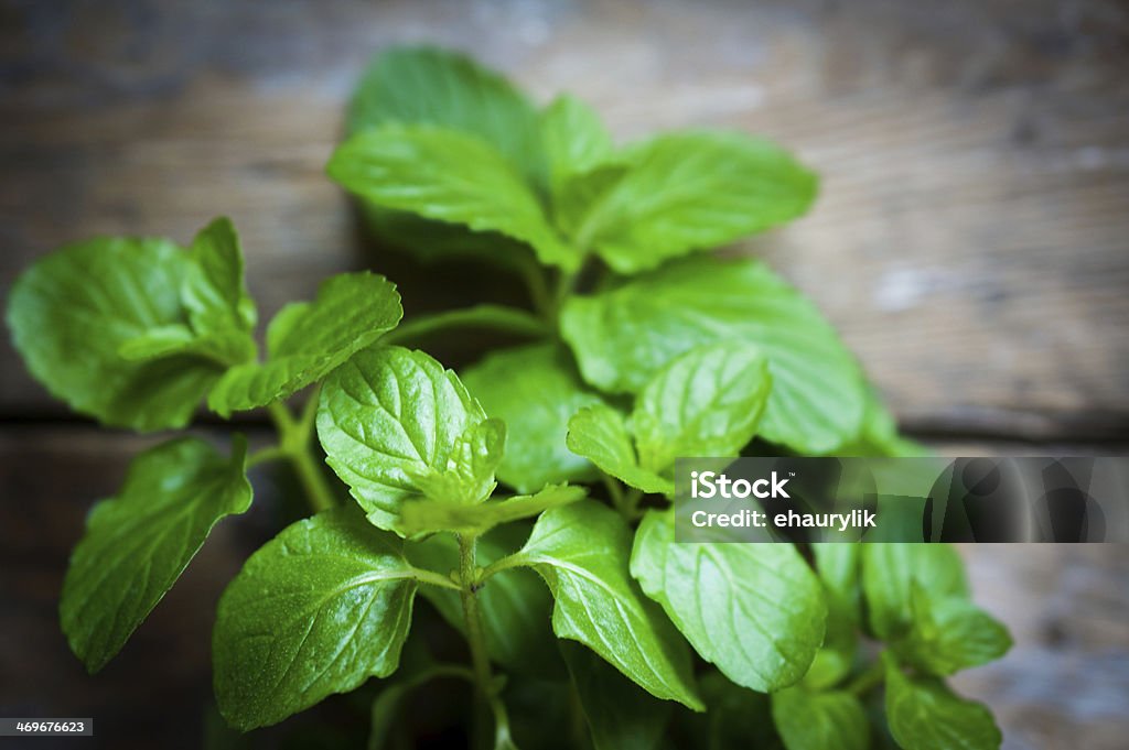 Fresh mint on rustic wooden background Food Stock Photo