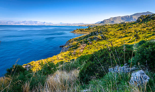 istock Vineyard in Sicily, Italy 469679025
