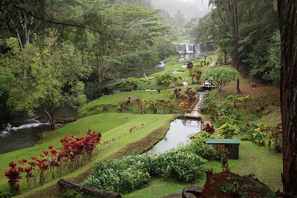 istock Kauai Tropical Garden 469682622
