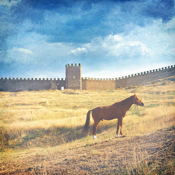 istock medieval fortress and horse 469684065
