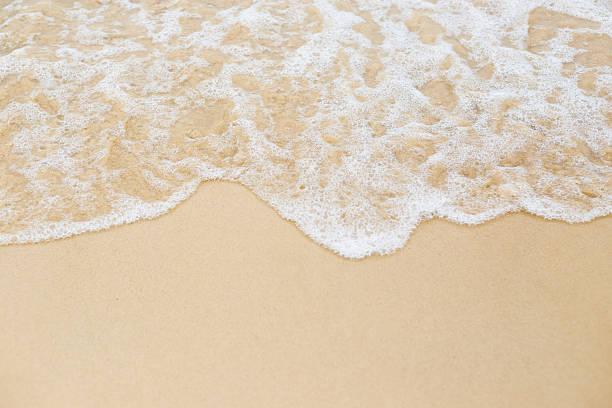 istock beach and tropical sea 469686544