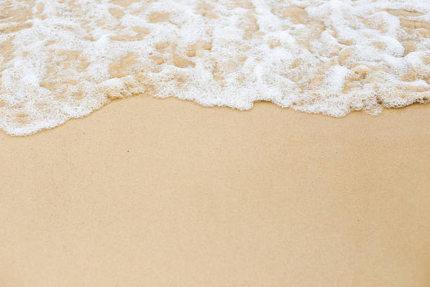 istock beach and tropical sea 469686546