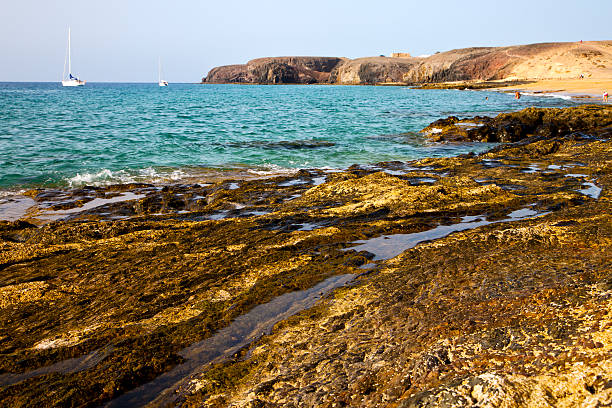 istock light  lanzarote  spain coastline  water   summer 469688903