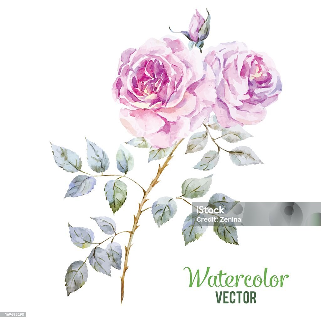 Gentle roses Beautiful vector image with gentle watercolor roses 2015 stock vector