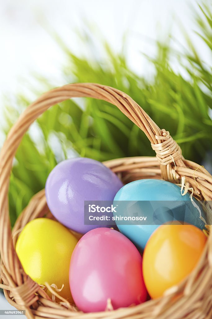 Colorful eggs Image of colored Easter eggs in basket April Stock Photo