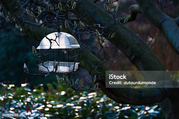 Birdfeeder In A Tree Stock Photo - Download Image Now - Animal Wildlife, Bird Feeder, Birdhouse