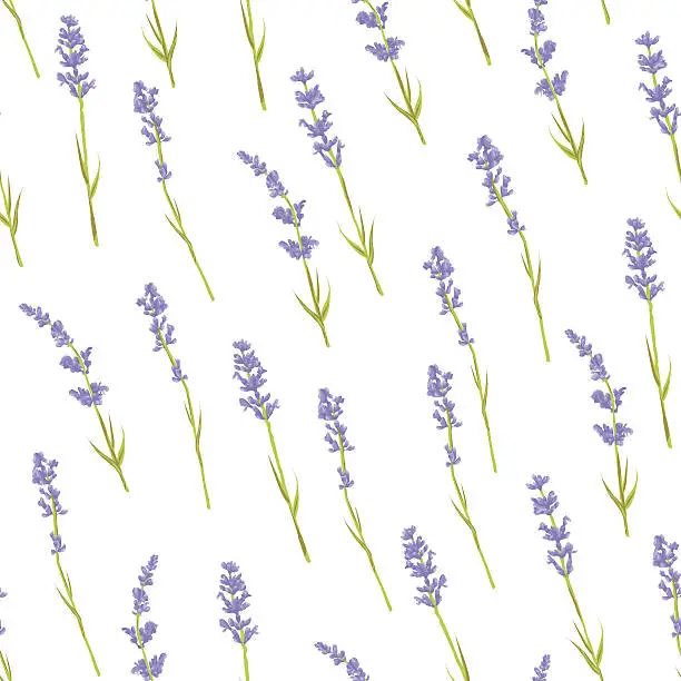 Vector illustration of Seamless lavender pattern.