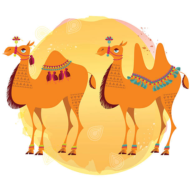 Decorated camels. Decorated camels. Vector illustration. dromedary camel stock illustrations