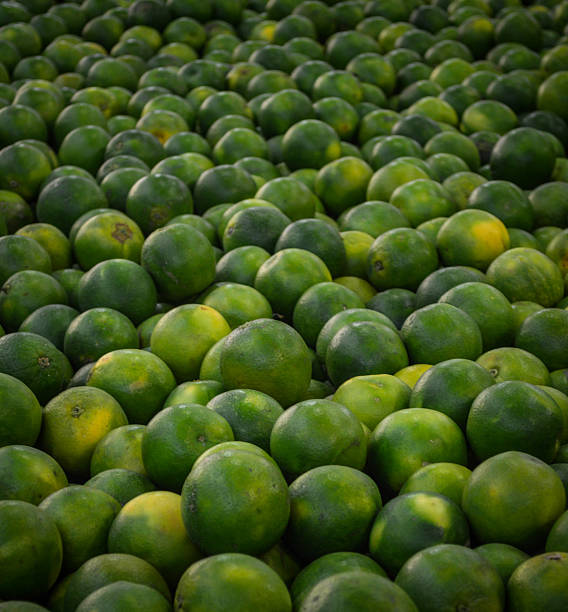 Group of Sweet lime taken in a market