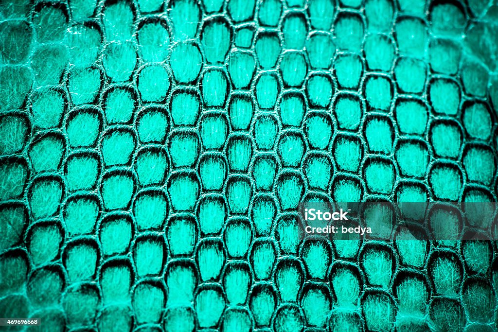 Real snake skin background, macro shot Macro shot of real snake skin, background, wallpaper 2015 Stock Photo