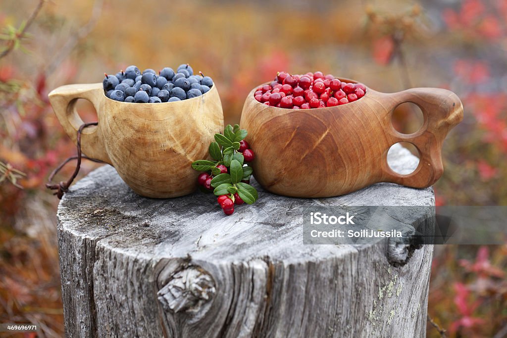 Berry cups Blueberries and lingonberries in a cup.Guksi is a type of drinking cup traditionally duodji crafted by the Sami people of northern Scandinavia from carved birch burl. Autumn Stock Photo