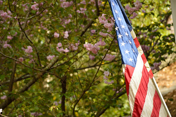 istock American flag waving against floral background 469697084