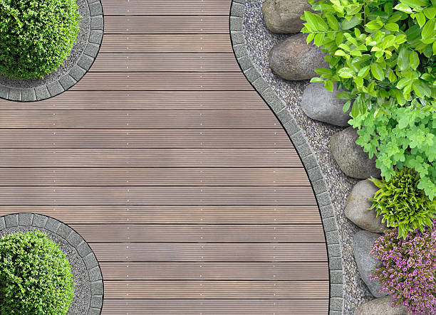 istock garden detail in top view 469697340