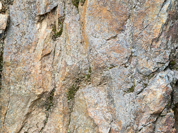 fundo de pedra calcária com musgo - rohstoffe - fotografias e filmes do acervo