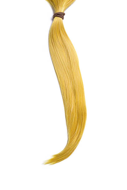 istock Golden blond hair, ponytail 469697852