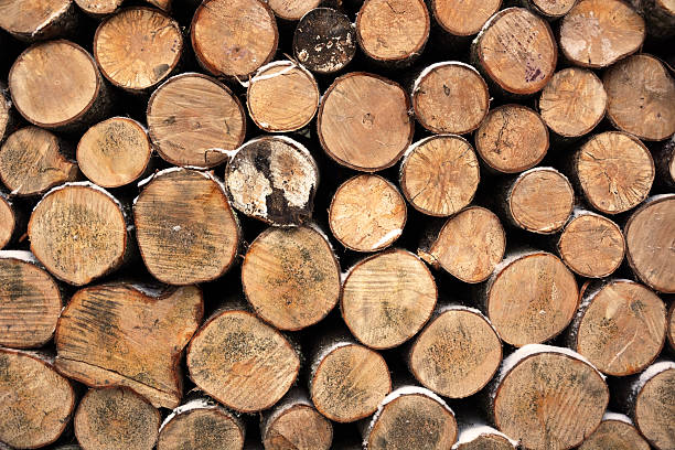 istock Firewood texture. Picture can be used as a background 469700604