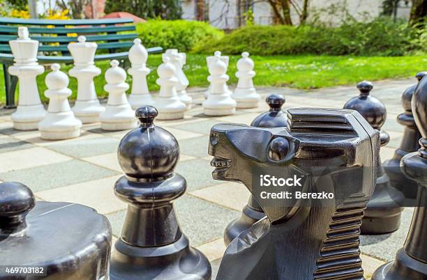 Garden Chess Stock Photo - Download Image Now - Chess, Large, 2015