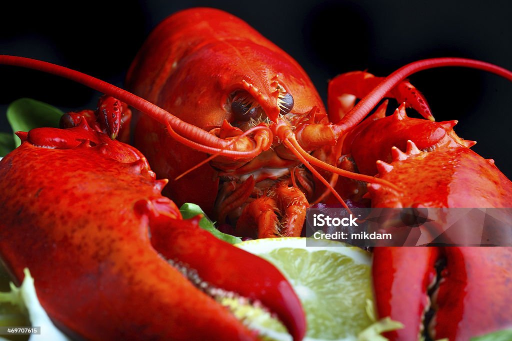 .Boiled lobster and lemon .Boiled lobster and lemon, close up Crustacean Stock Photo