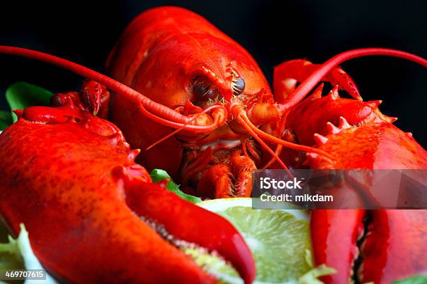 Boiled Lobster And Lemon Stock Photo - Download Image Now - Crustacean, Food, Horizontal