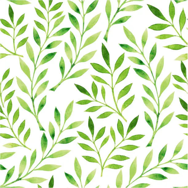 Vector illustration of A drawing of a pattern of green leaves on a white background