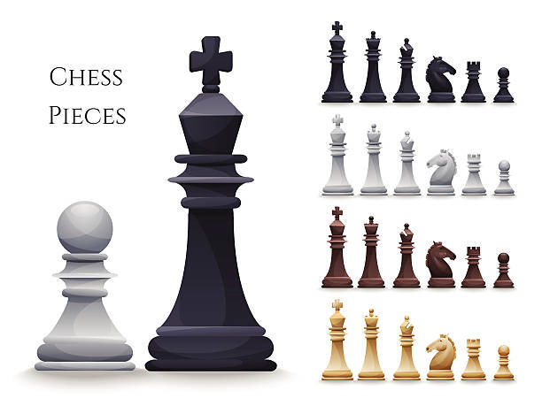 Peão No Xadrez Com Reflexo Como Rei Ilustração Stock - Ilustração de  objeto, placa: 219415428