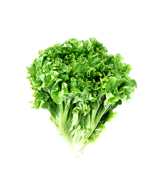 istock fresh green lettuce salad closeup 469714746
