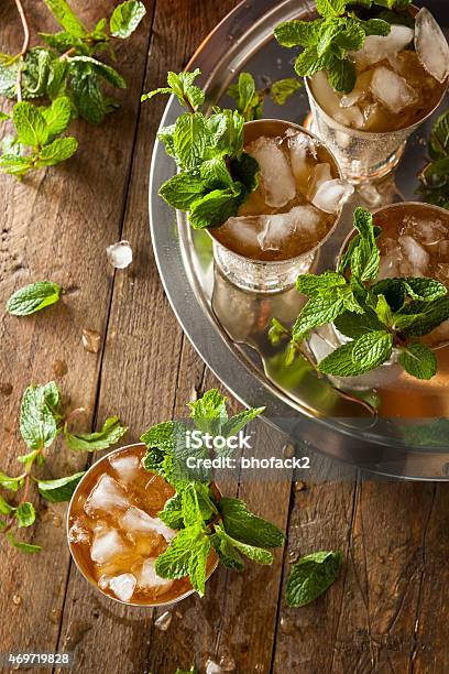 Refreshing Cold Mint Julep Stock Photo - Download Image Now - Mint Julep, Cocktail, Taking a Shot - Sport