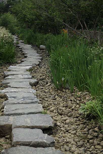 istock Forest Road in the summer 469721435