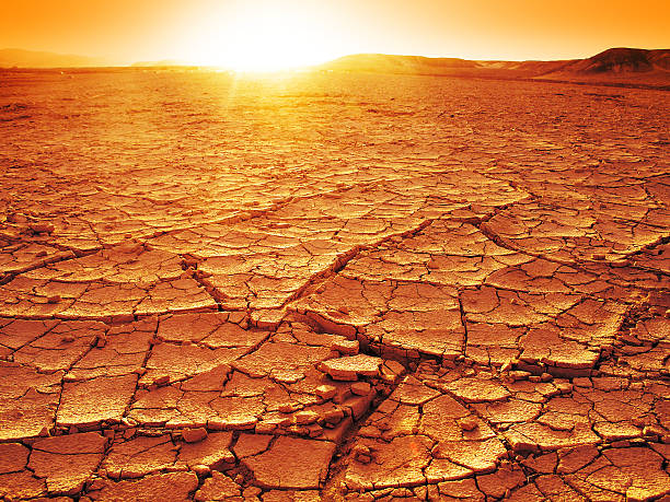 Sunset at a desert Golden sunset at a desert. Dry and thirsty soil. dry cracked soil stock pictures, royalty-free photos & images