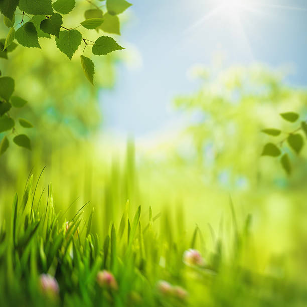 istock Abstract seasonal backgrounds with selective focus for your desi 469723409