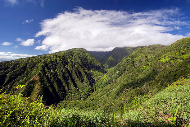 istock Waihee Ridge Trail, West Maui Mountains, Hawaii 469723676