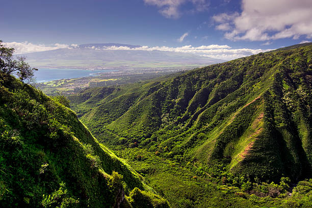 cume de waihee percursos de terra, com olhar kahului e de haleakala, maui, havaí - maui imagens e fotografias de stock