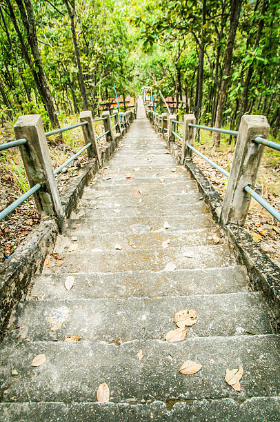 istock Stairway in the jungle 469727169