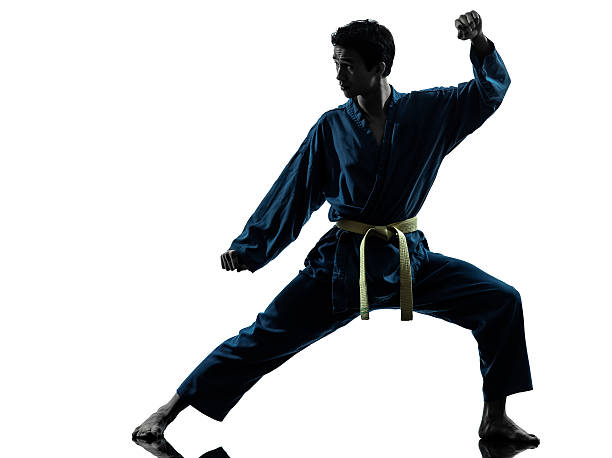 istock karate vietvodao martial arts man silhouette 469727285