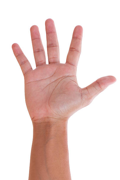 istock Male hand is showing five fingers. 469727757