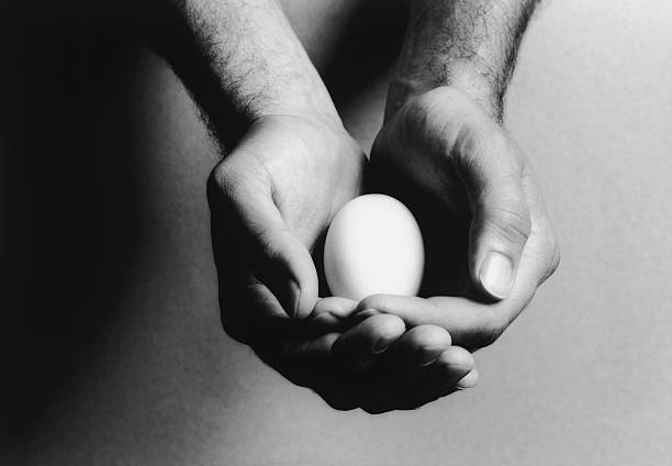 Two Hands Holding Egg