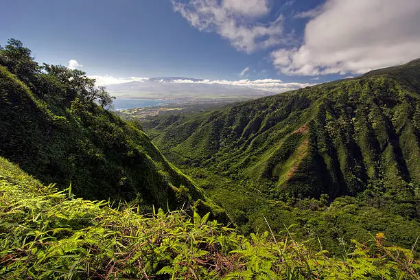 View from Waihee Ridge Trail, over looking Kahului and Haleakala, Maui, Hawaii